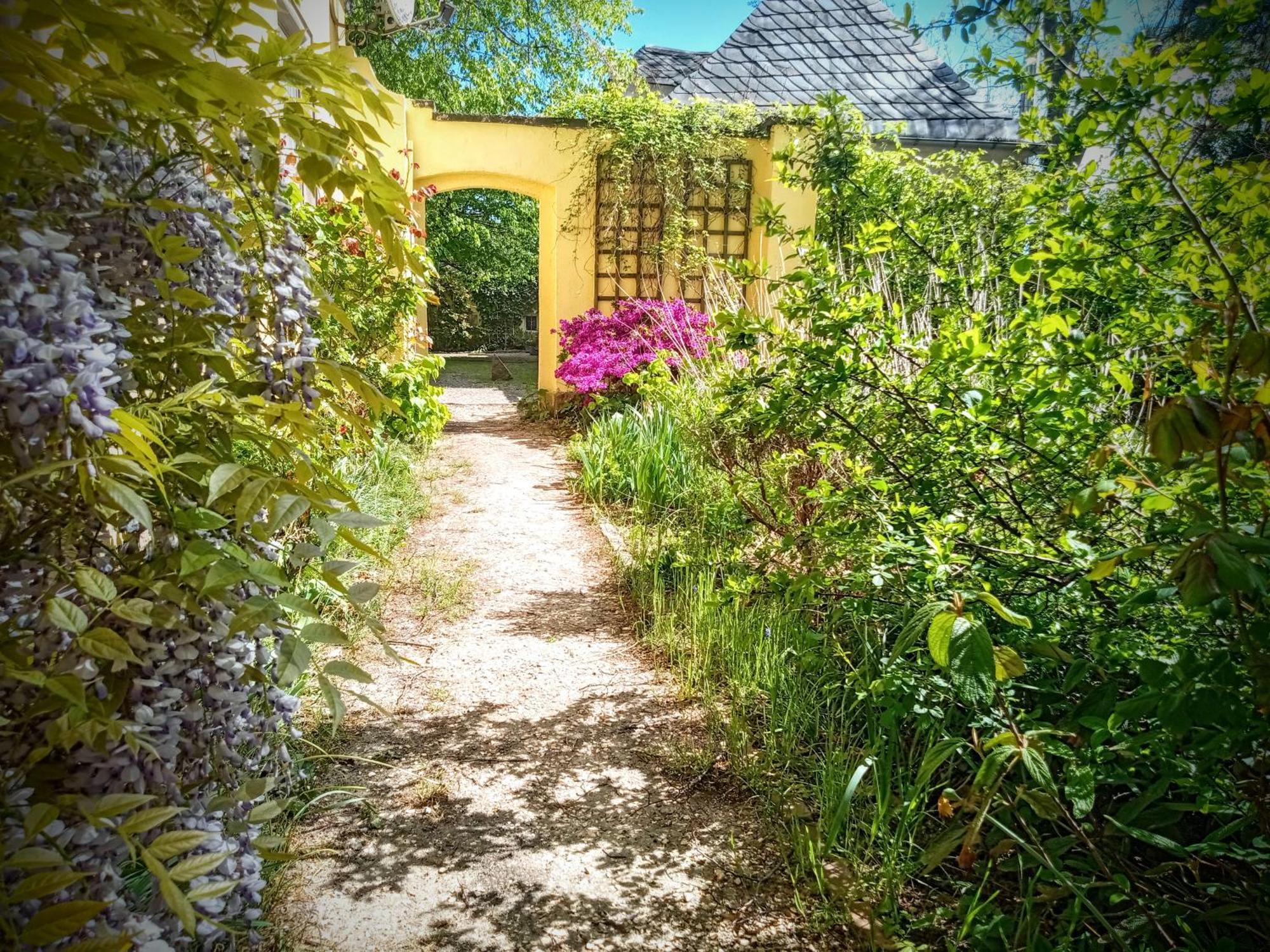 Ferienhaus Dr. Mueller Meißen Kültér fotó