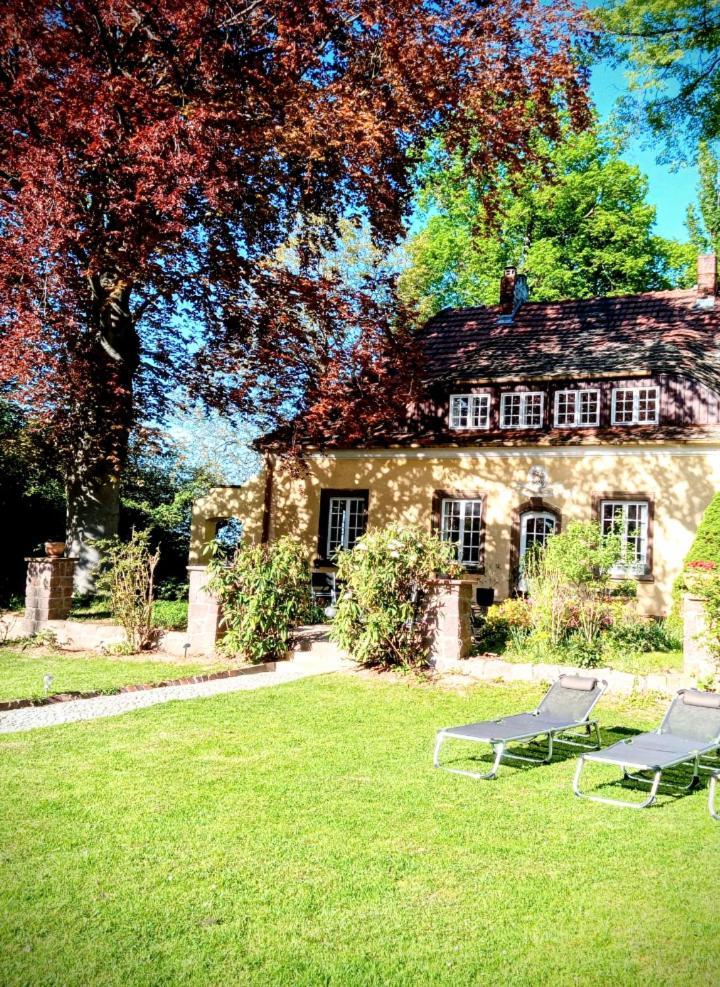 Ferienhaus Dr. Mueller Meißen Kültér fotó